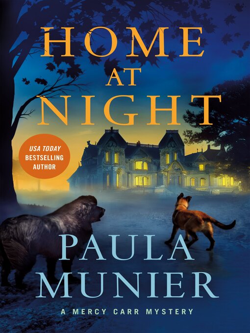 Title details for Home at Night by Paula Munier - Available